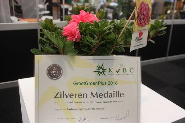 Парад медалістів GrootGroenPlus 2018