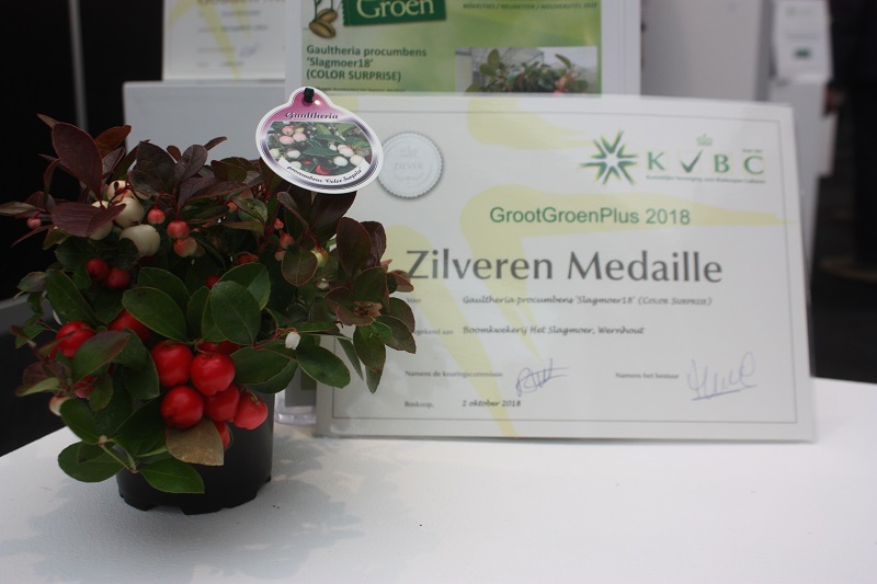 Парад медалістів GrootGroenPlus 2018
