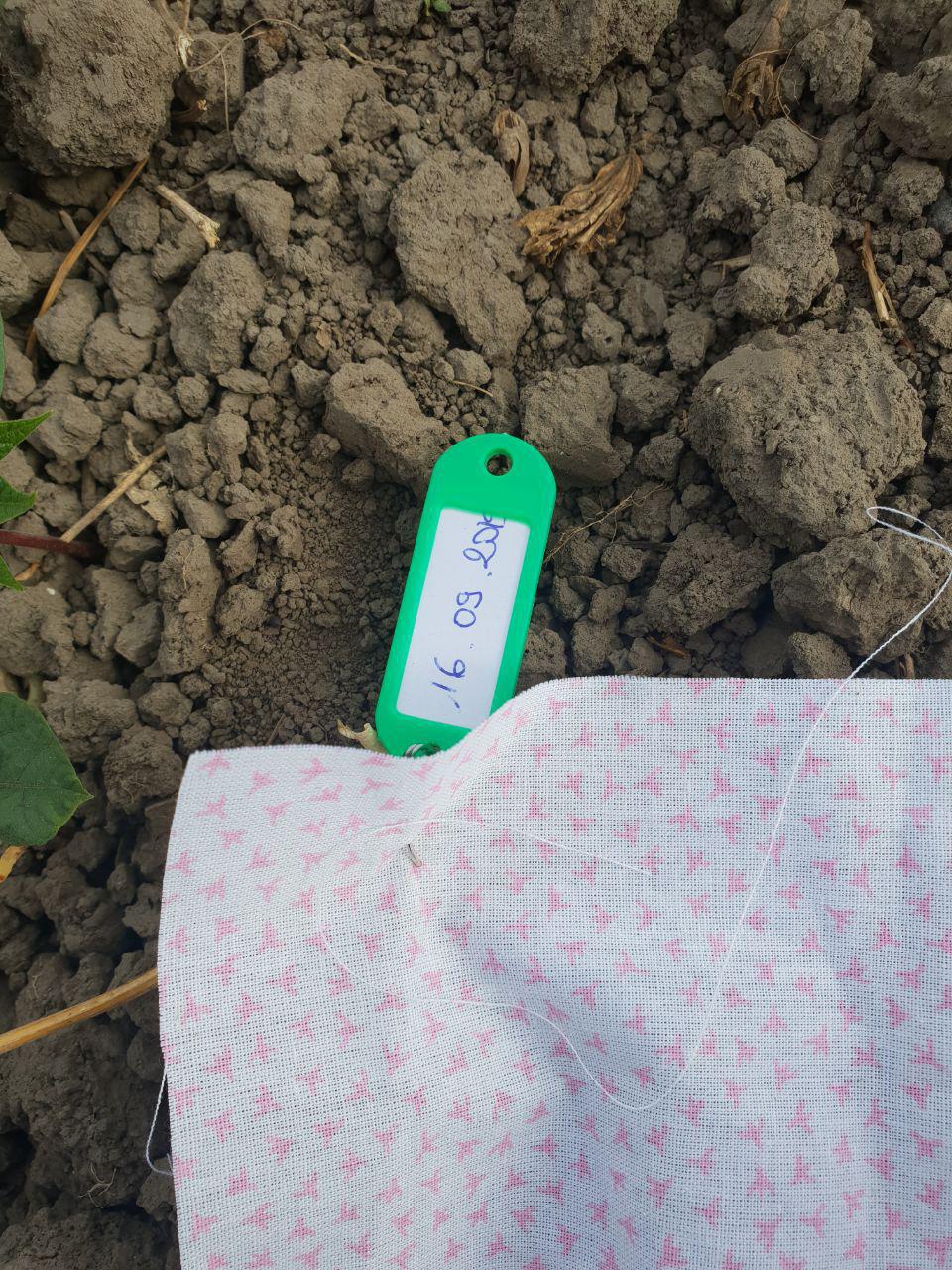 «Поховаємо труси!», — Alfagro запускає тест для вимірювання біологічної активності ґрунтів.